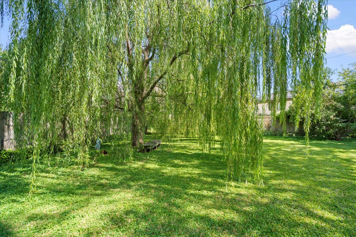 147 South Rohlwing Road Palatine, IL 60074 - Photo 31 of 46 Gallery Image 31