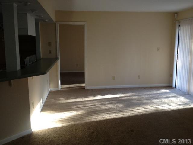 11066 Cedar View Road, Unit 8351 Charlotte, NC 28226 - Photo 8 of 14 Gallery Image 8