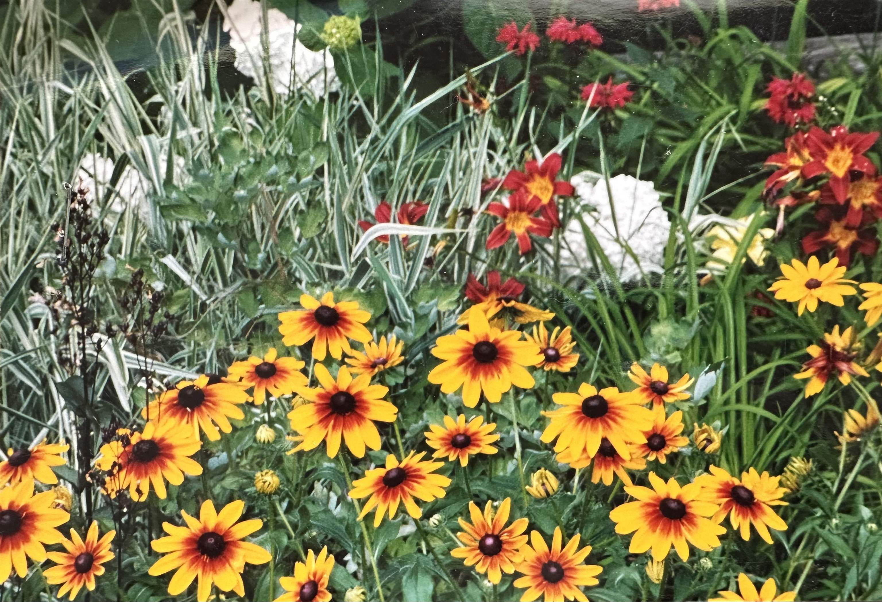 8 Berkley Terrace St. Albans, VT 05478 - Photo 51 of 56