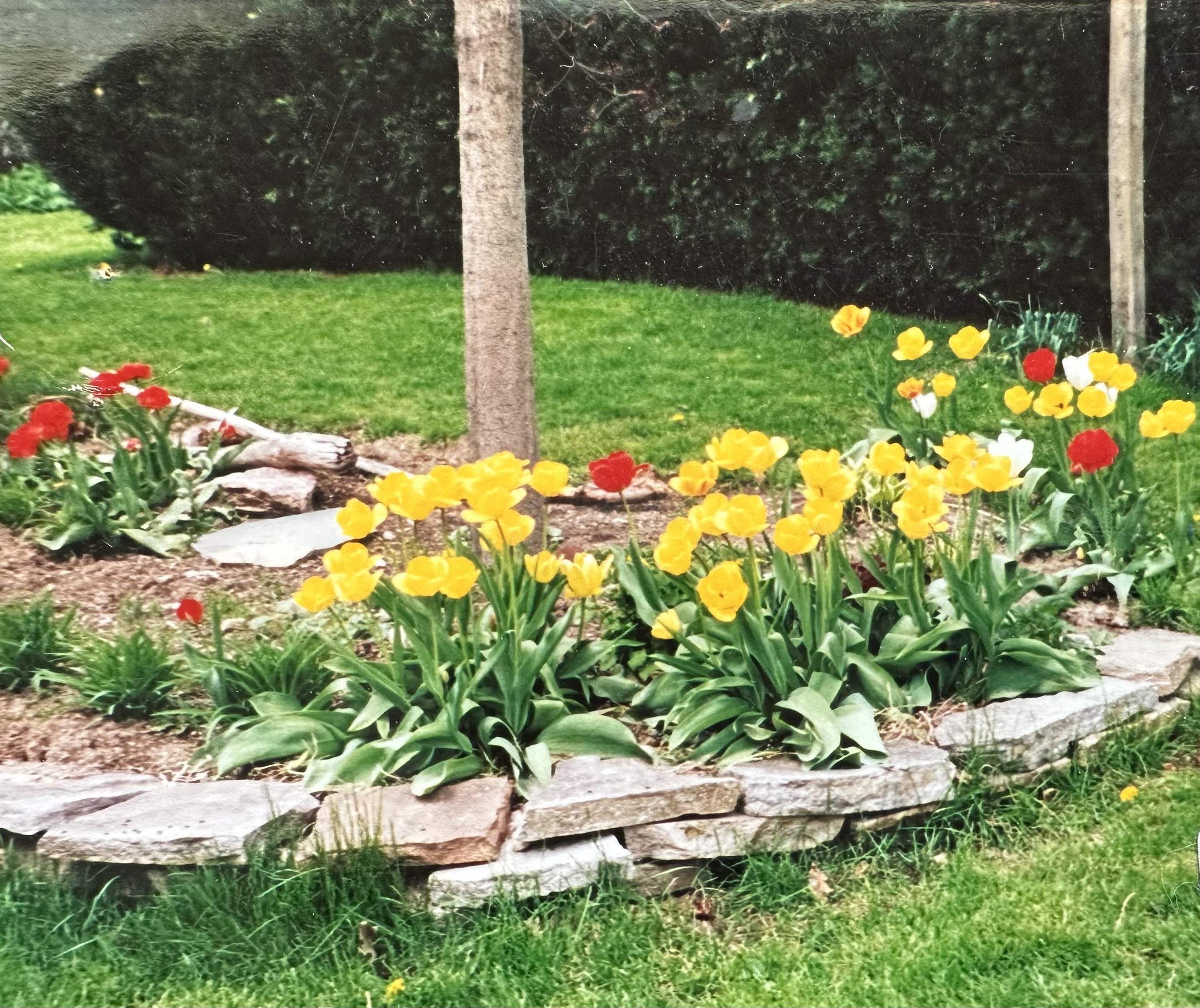 8 Berkley Terrace St. Albans, VT 05478 - Photo 52 of 56