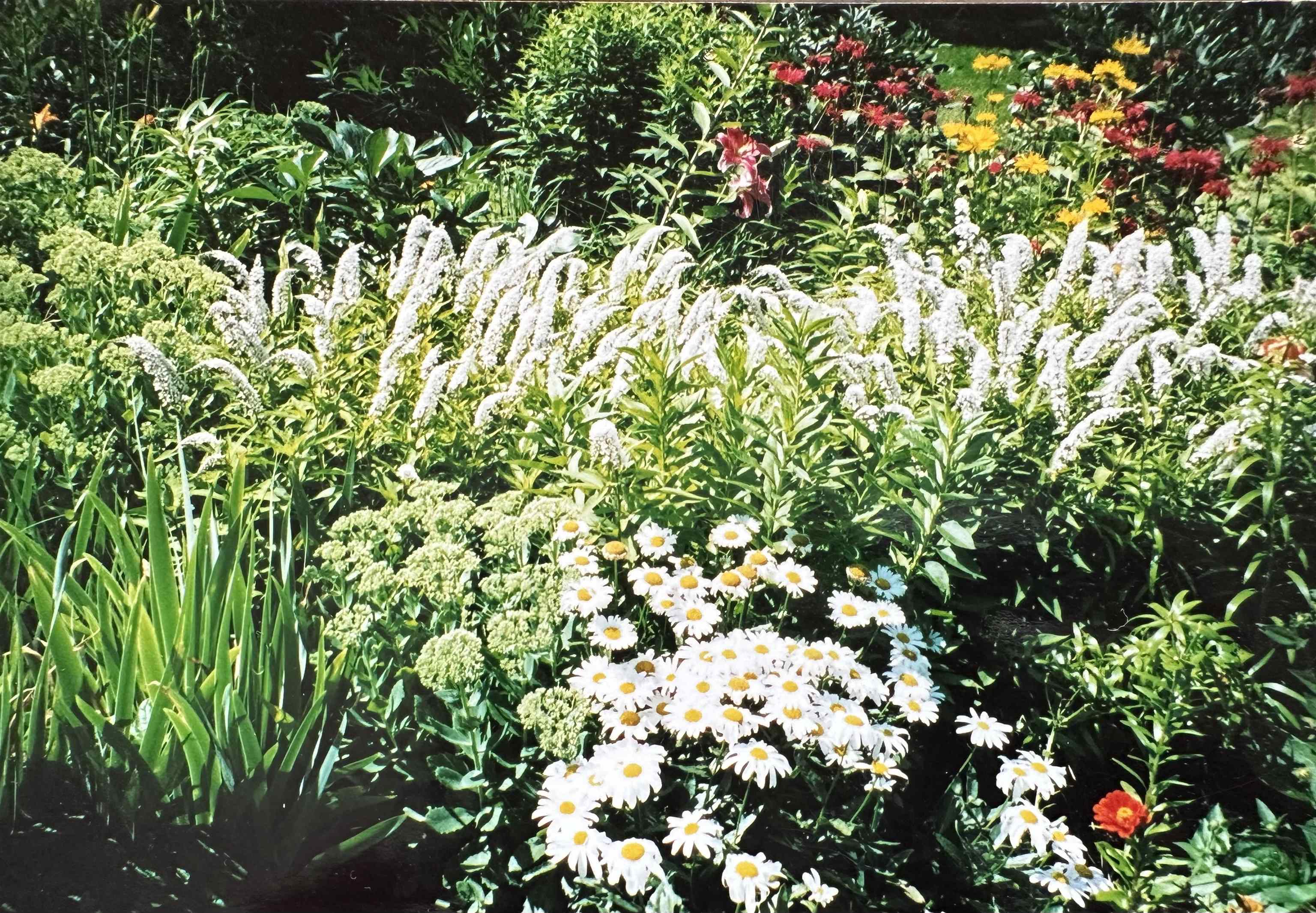 8 Berkley Terrace St. Albans, VT 05478 - Photo 53 of 56