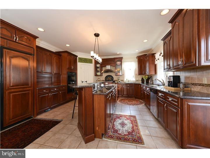 38 Wood Chip Road Elkton, MD 21921 - Photo 8 of 26 A KITCHEN ANY CHEF WOULD LOVE