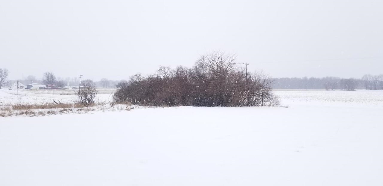 0 North Rich Road Alma, MI 48801 - Photo 6 of 10