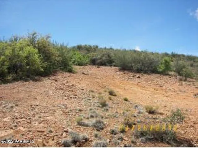a view of a dry yard with trees in the background