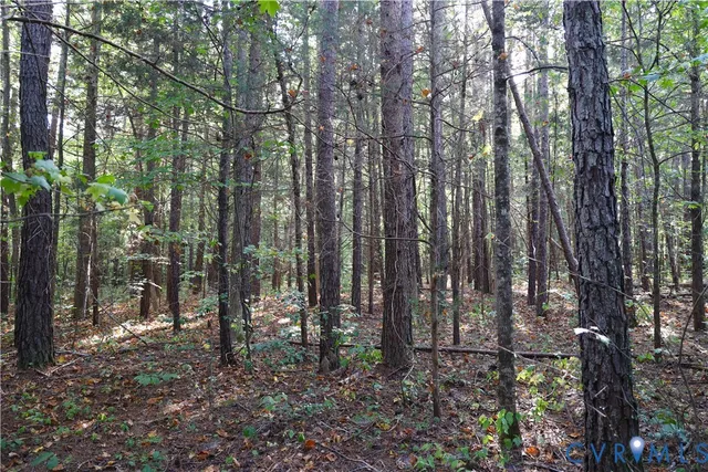 a view of a lush green forest with trees and some houses