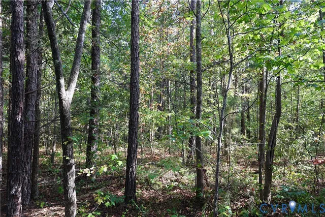 a view of a pathway of a house with large trees and plants