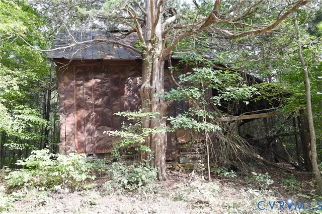 a view of a lush green forest