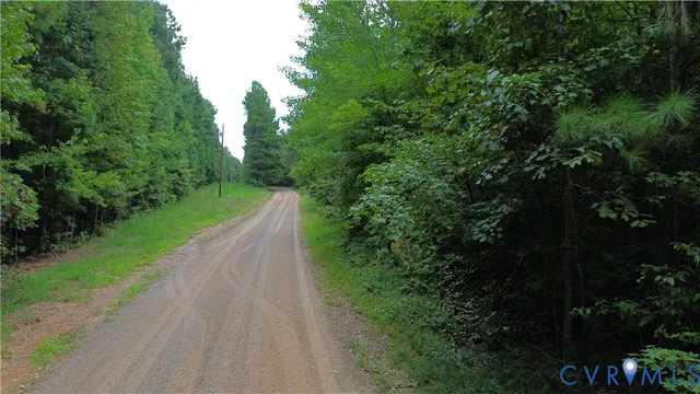 a yard with lots of green space and trees