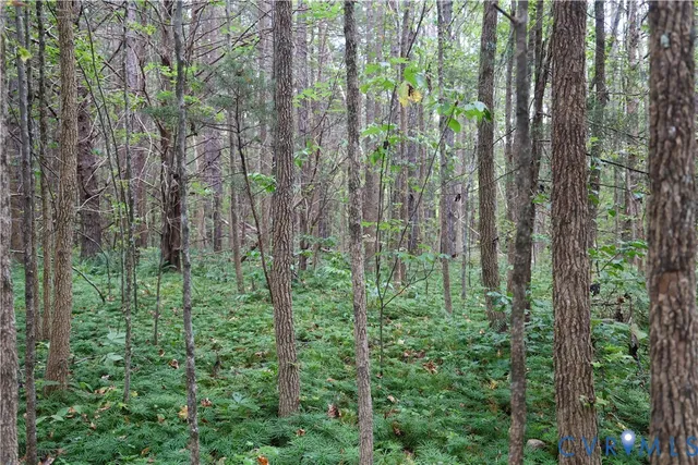 a view of a green field with lots of bushes