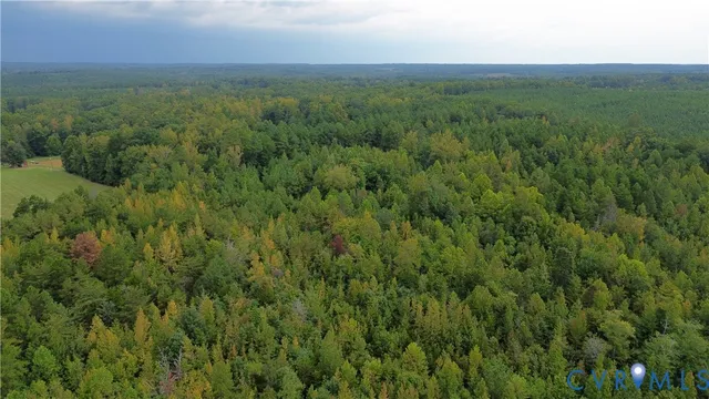 a view of a lush green field