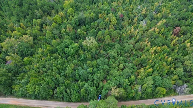 an outdoor view of garden with lots of trees
