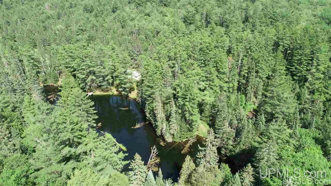 2804-acres Co Rd 442 McMillan, MI 49853 - Photo 1 of 48