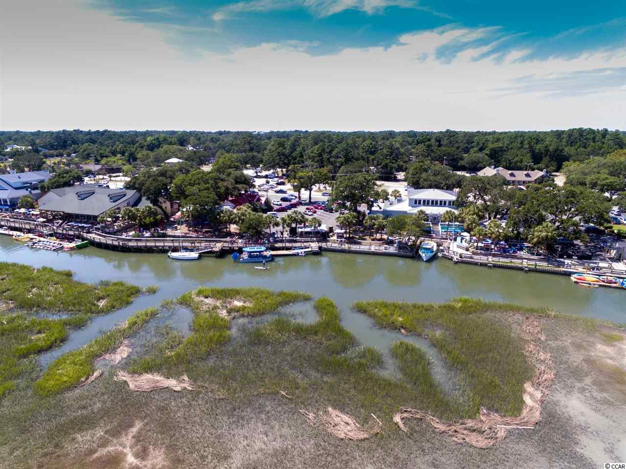 3898 Murrells Inlet Road Murrells Inlet, SC 29576 - Photo 38 of 38