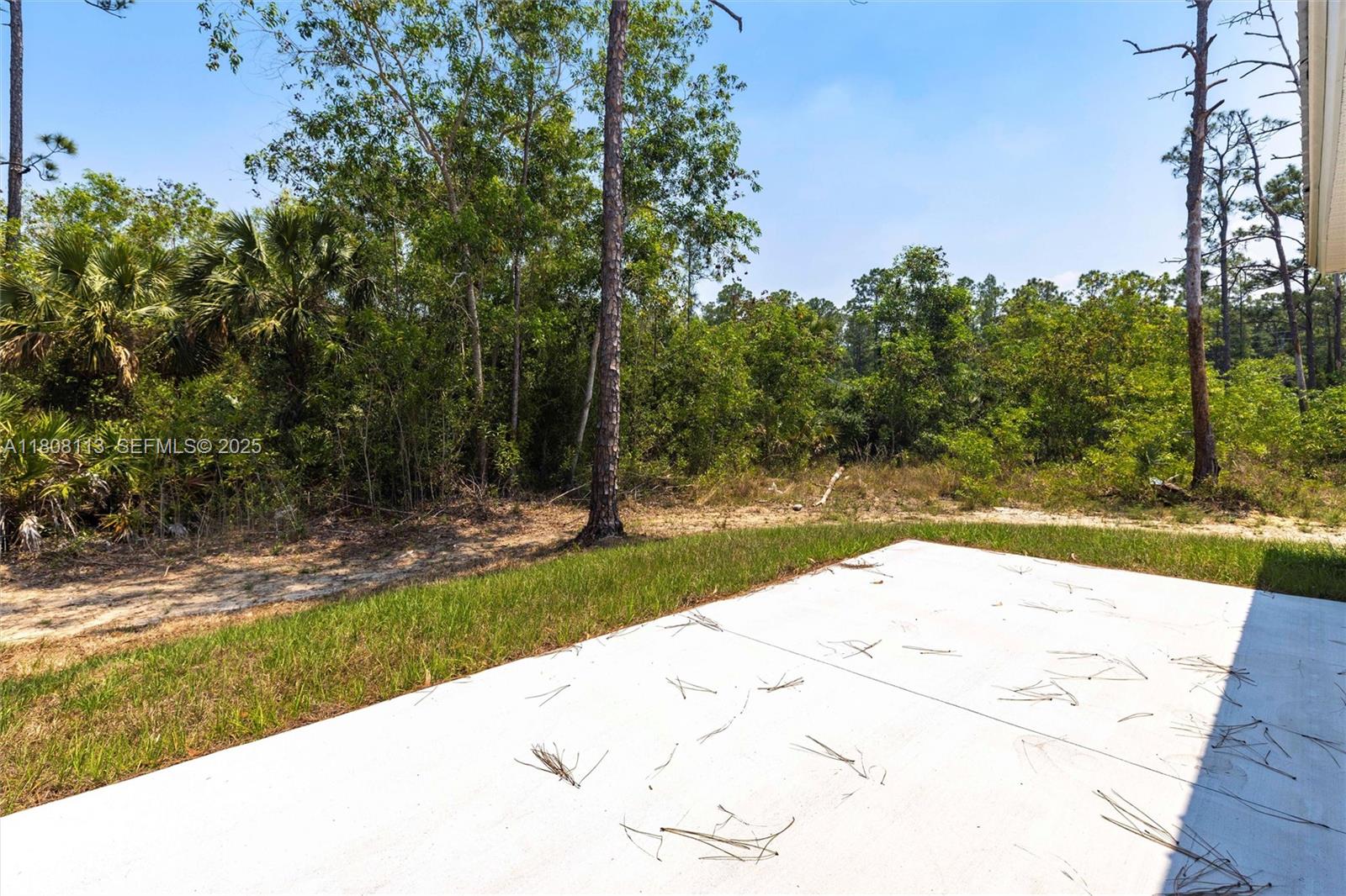 2006 Rosa Court, Unit 2006 Lehigh Acres, FL 33972 - Photo 17 of 22 a view of backyard with swimming pool