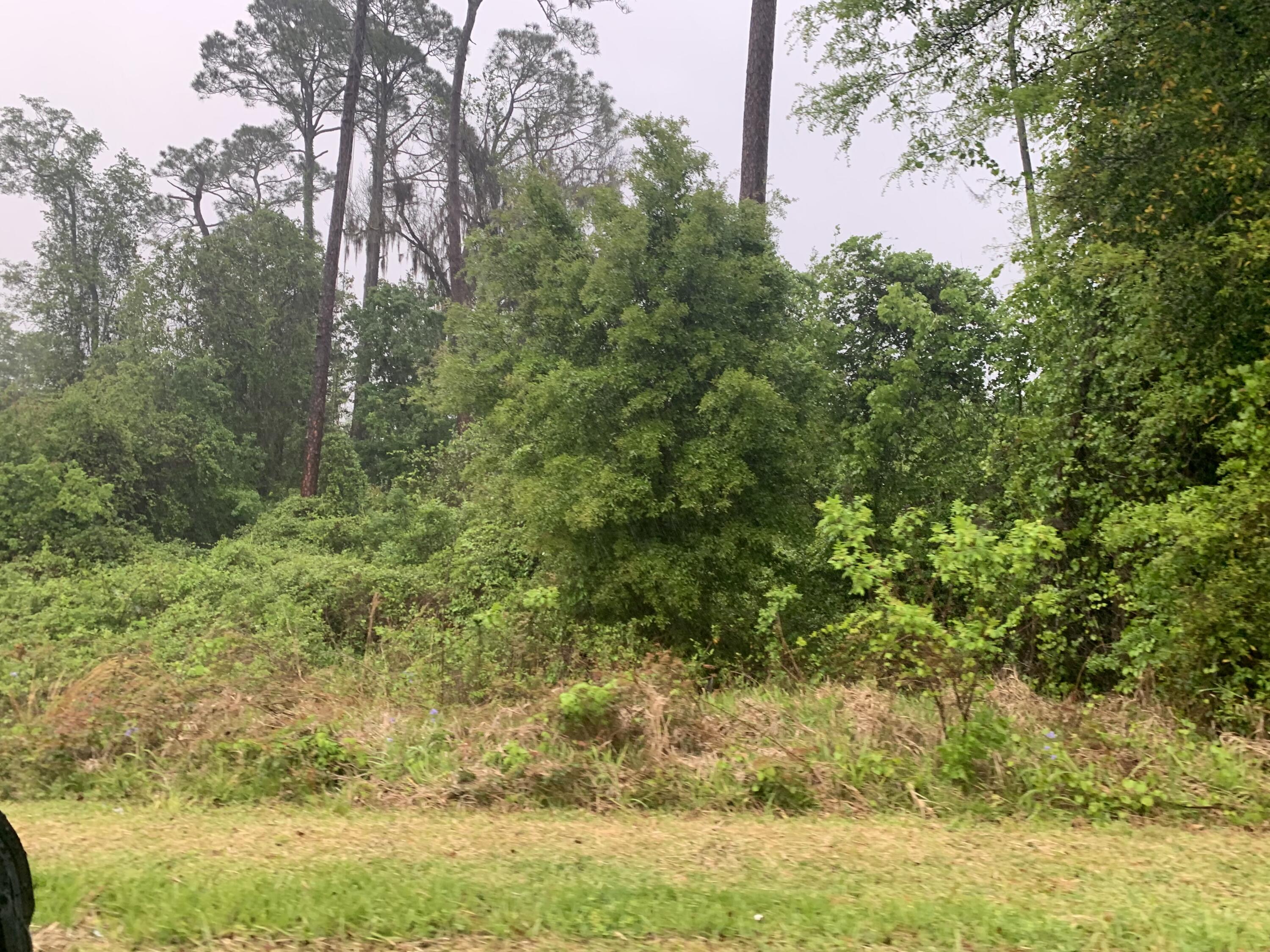 0 Southeast Unassigned Location Re Avenue Hawthorne, FL 32640 - Photo 2 of 5 IMG_7422