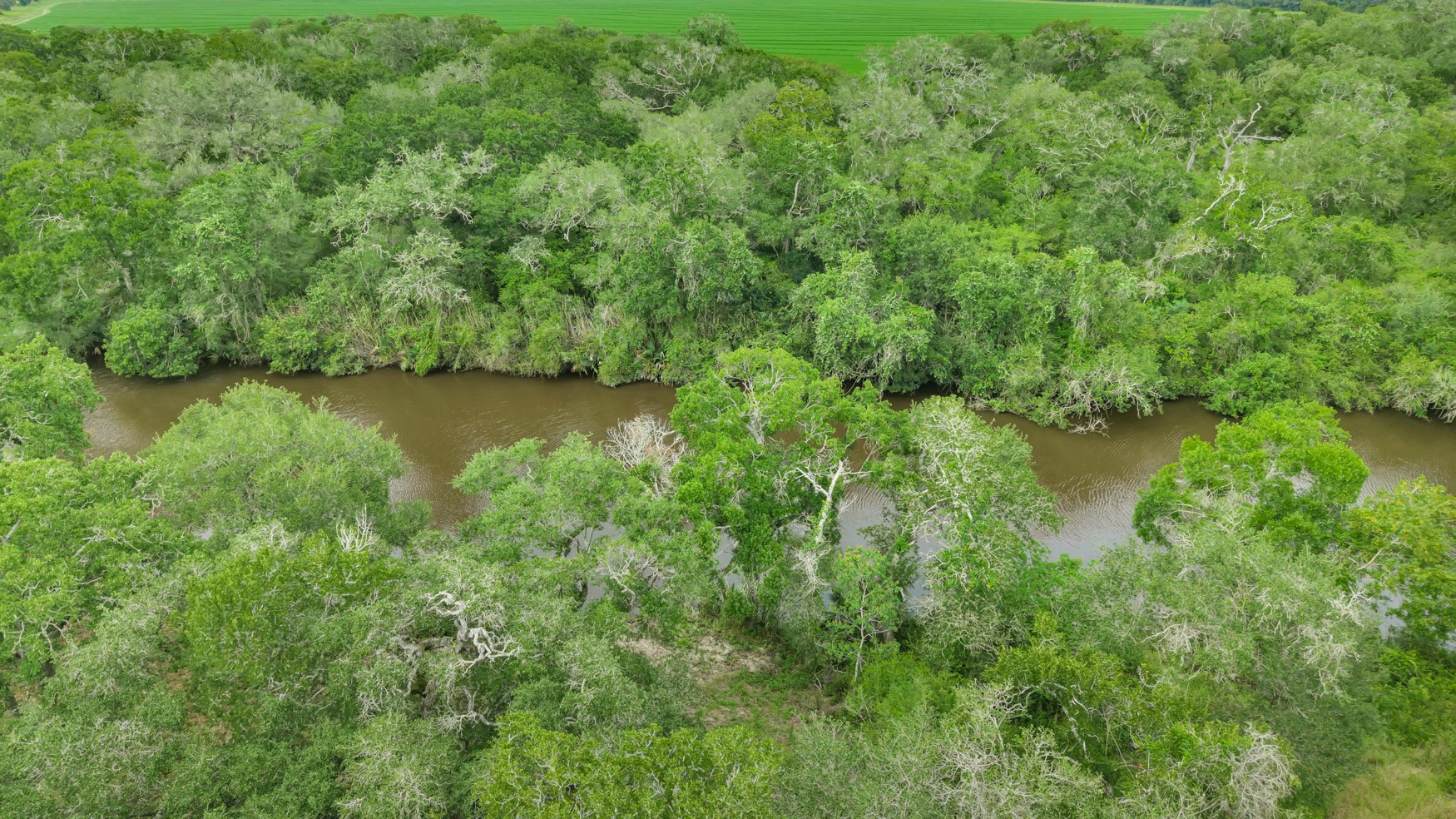 4600 Fm 1862 Road Palacios, TX 77465 - Photo 19 of 43