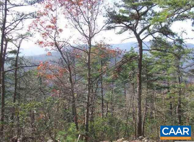 1 Brokenback Mountain Road Dyke, VA 22935 - Photo 2 of 13 Gallery Image 2
