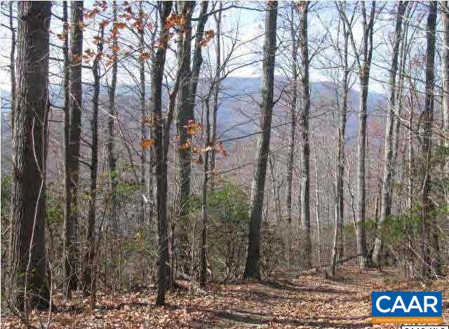 1 Brokenback Mountain Road Dyke, VA 22935 - Photo 4 of 13 Gallery Image 4
