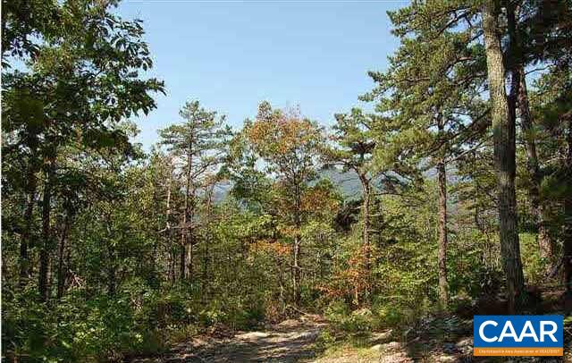 1 Brokenback Mountain Road Dyke, VA 22935 - Photo 5 of 13 Gallery Image 5