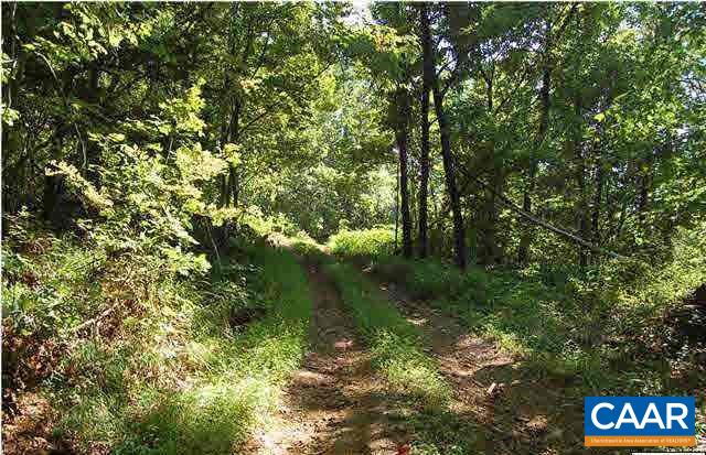 1 Brokenback Mountain Road Dyke, VA 22935 - Photo 6 of 13 Gallery Image 6