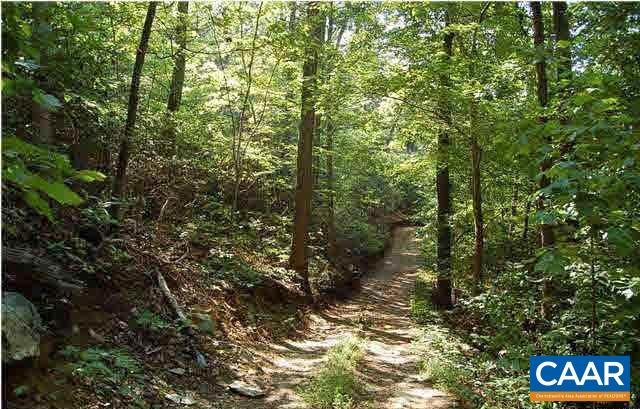 1 Brokenback Mountain Road Dyke, VA 22935 - Photo 7 of 13 Gallery Image 7
