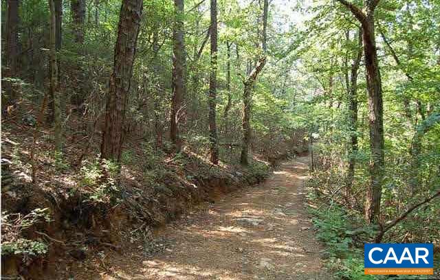 1 Brokenback Mountain Road Dyke, VA 22935 - Photo 8 of 13 Gallery Image 8