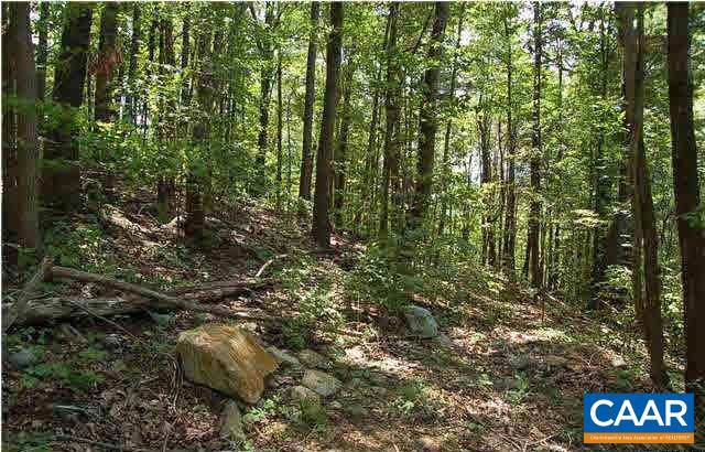 1 Brokenback Mountain Road Dyke, VA 22935 - Photo 10 of 13 Gallery Image 10