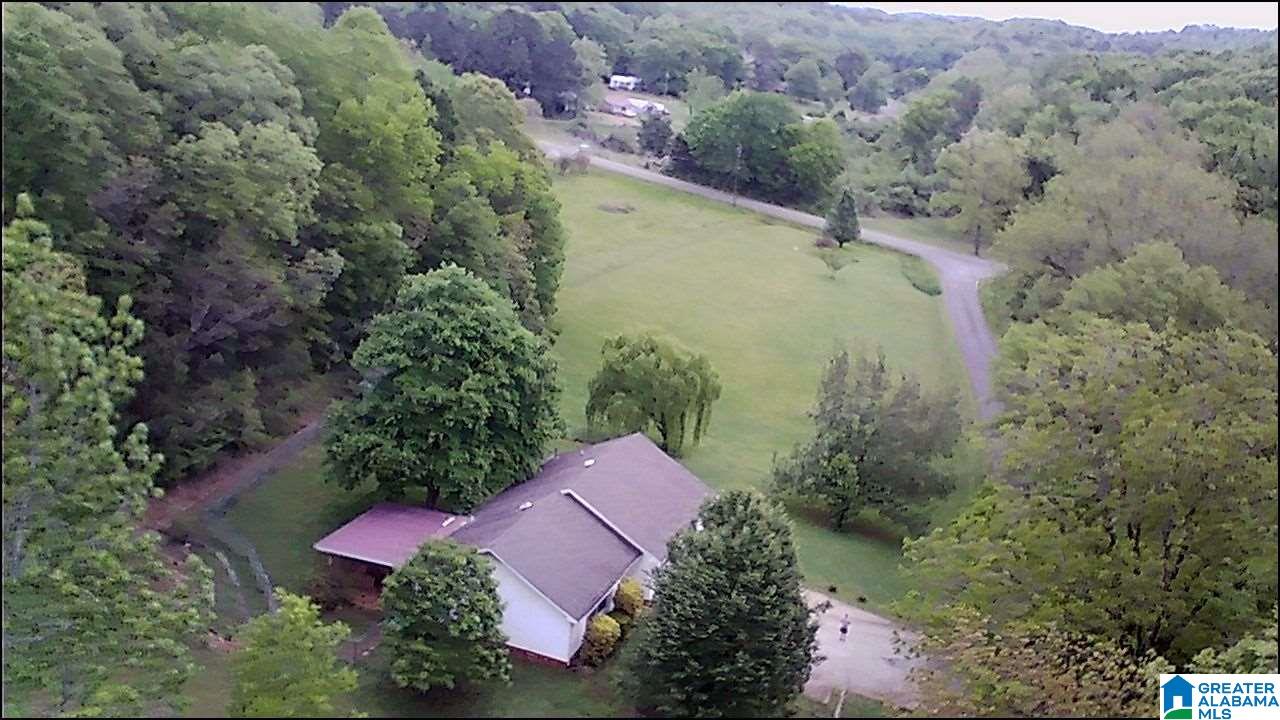 86 Mitchell Road Talladega, AL 35160 - Photo 2 of 19