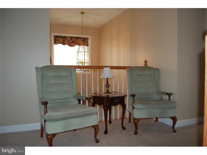 721 Maria Avenue Sinking Spring, PA 19608 - Photo 21 of 24 Gallery Image 21