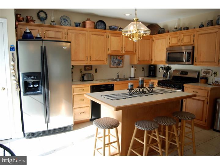 721 Maria Avenue Sinking Spring, PA 19608 - Photo 8 of 24 Gallery Image 8