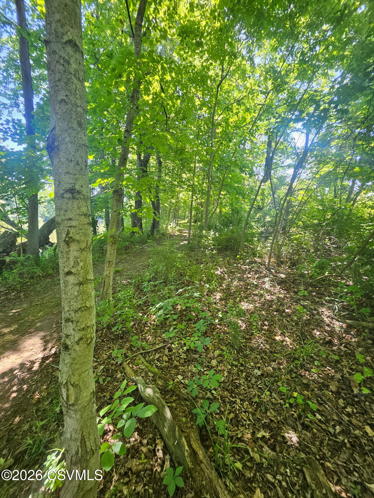 579 Broadway Road Winfield, PA 17889 - Photo 89 of 94