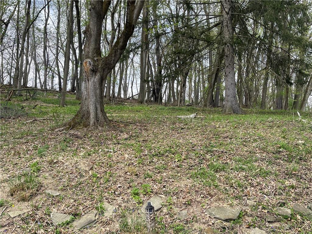 1815 Sample Road Allison Park, PA 15101 - Photo 9 of 40 a view of outdoor space with trees