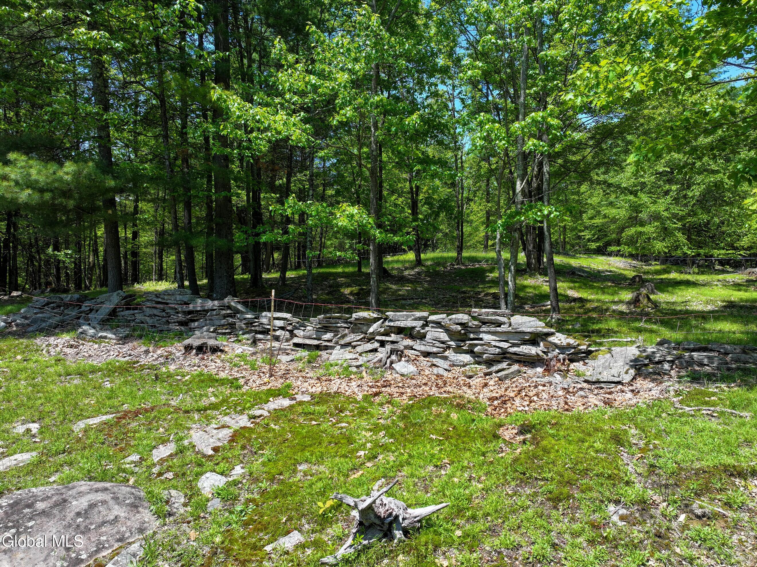 1710 Truthville Road Whitehall, NY 12887 - Photo 13 of 59 DJI_20260526131250_0146_D-2 (Copy)