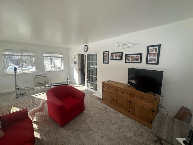 120 Shepard Road Belfast, ME 04915 - Photo 26 of 53 unnamed (50)