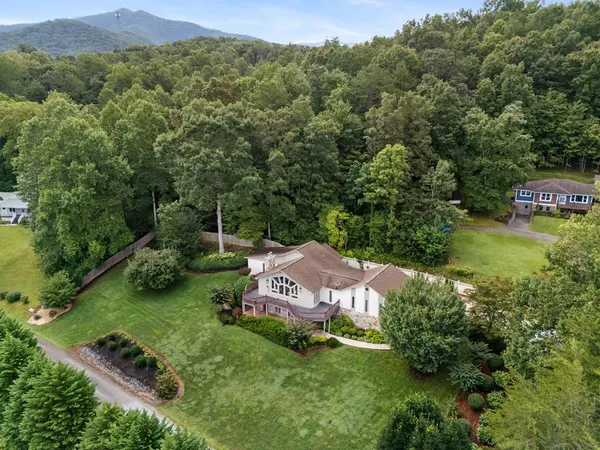 an aerial view of green landscape with trees houses and mountain view