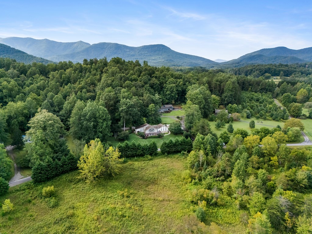 1396 Deerfield Road Young Harris, GA 30582 - Photo 57 of 60 a view of a lush green hillside and a houses