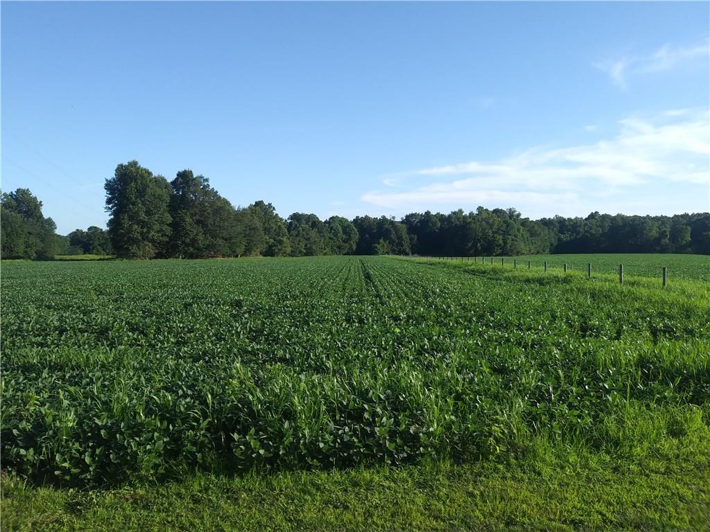 0 Millgrove Road Quincy, IN 47456 - Photo 4 of 34 Gallery Image 4