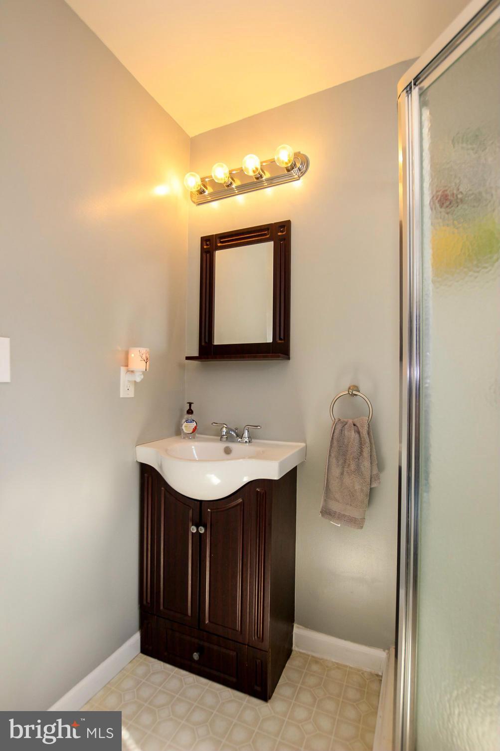 7317 Gunpowder Road Baltimore, MD 21220 - Photo 14 of 29 a bathroom with a sink a mirror and a shower