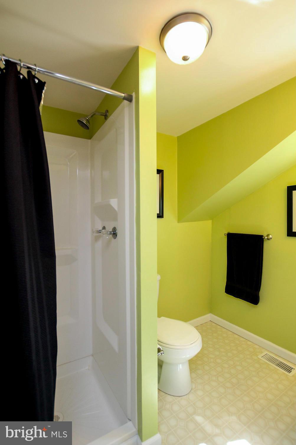 7317 Gunpowder Road Baltimore, MD 21220 - Photo 22 of 29 a bathroom with a toilet and a shower