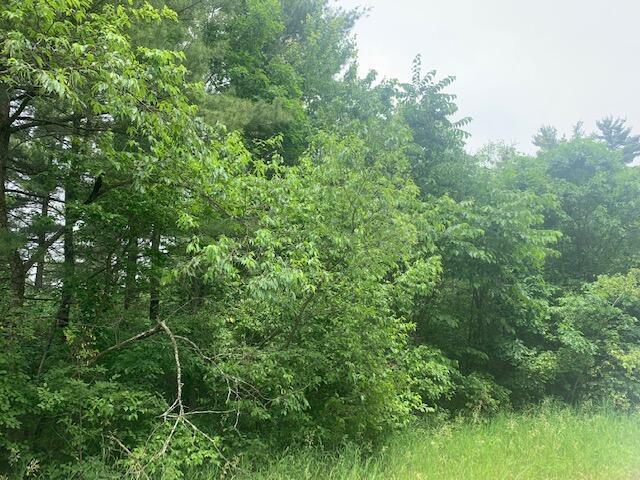 B-2 West Almy Road Howard City, MI 49329 - Photo 2 of 4 almy rd 2