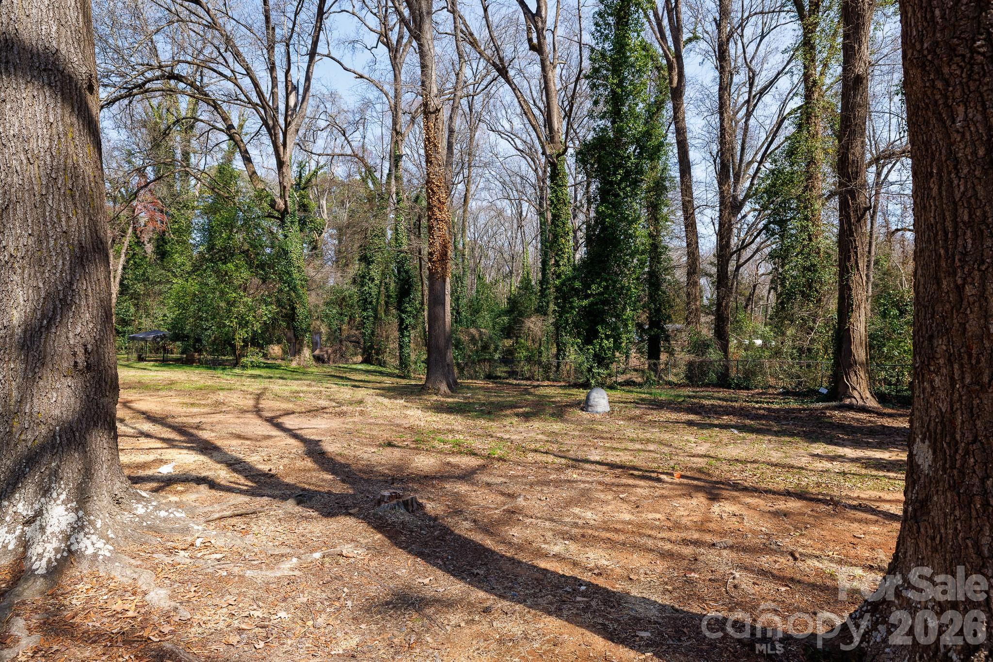 1610 India Hook Road Rock Hill, SC 29732 - Photo 32 of 36