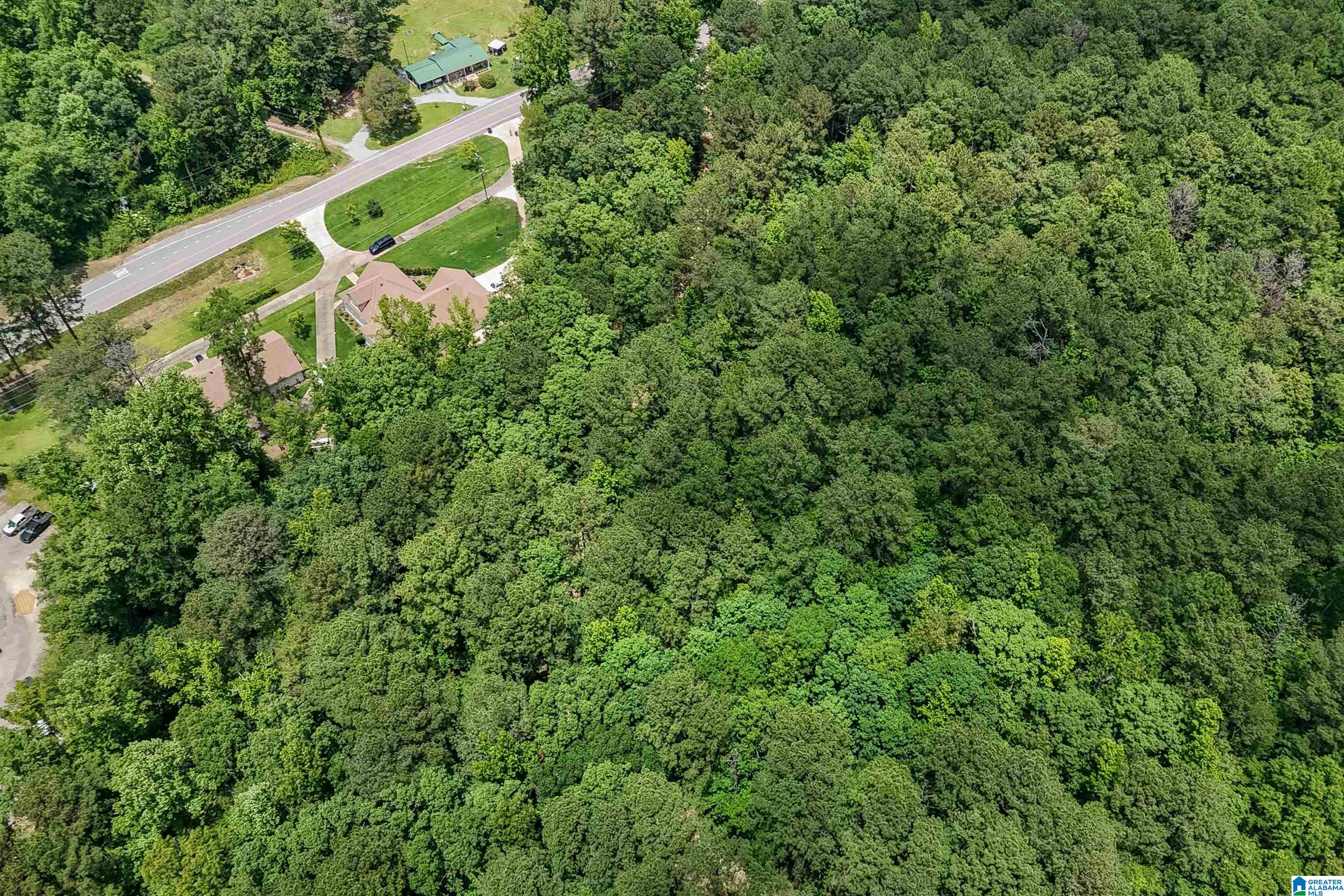 0 Red Oak Circle Helena, AL 35080 - Photo 8 of 21