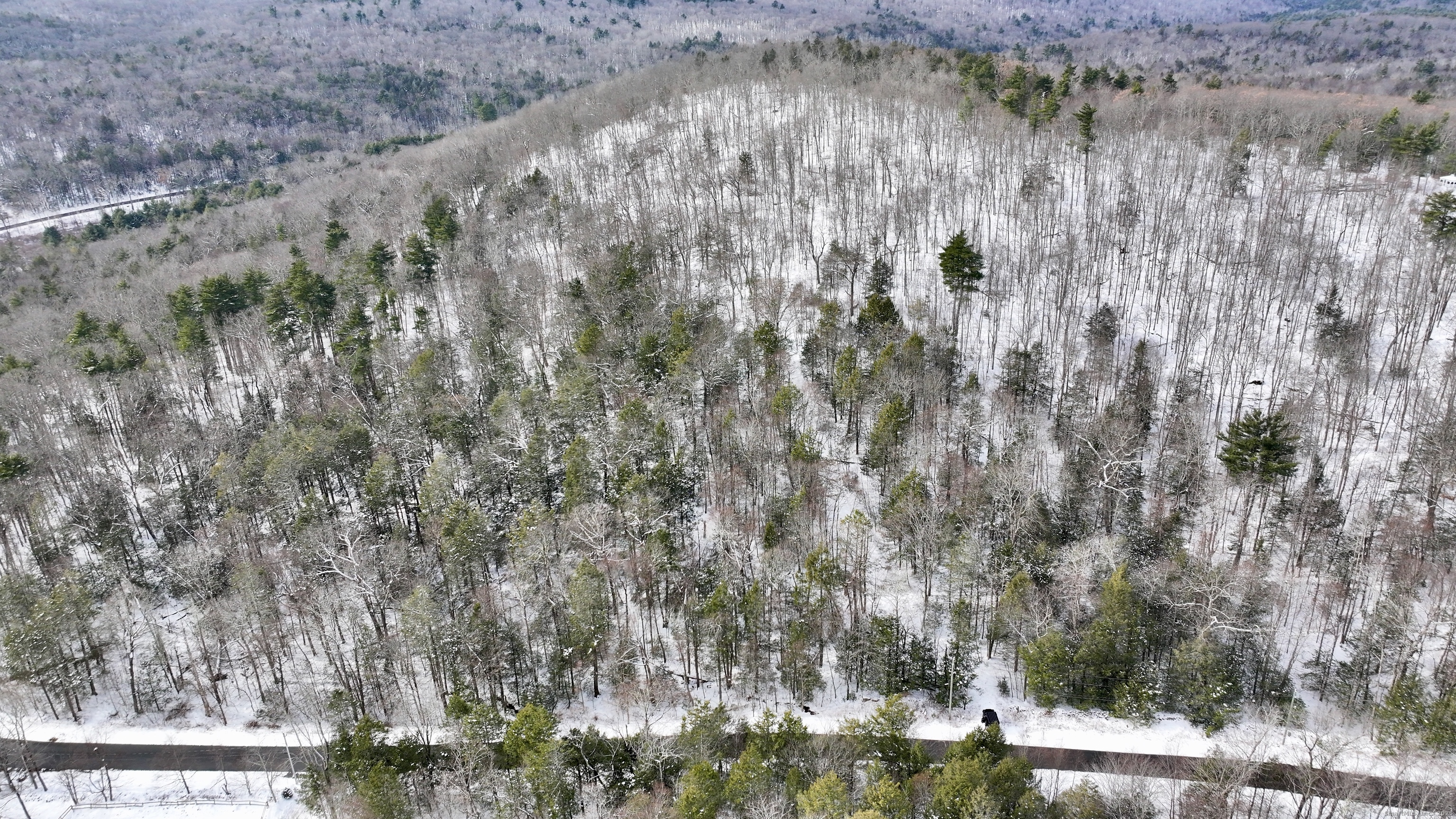 a view of a forest with large trees