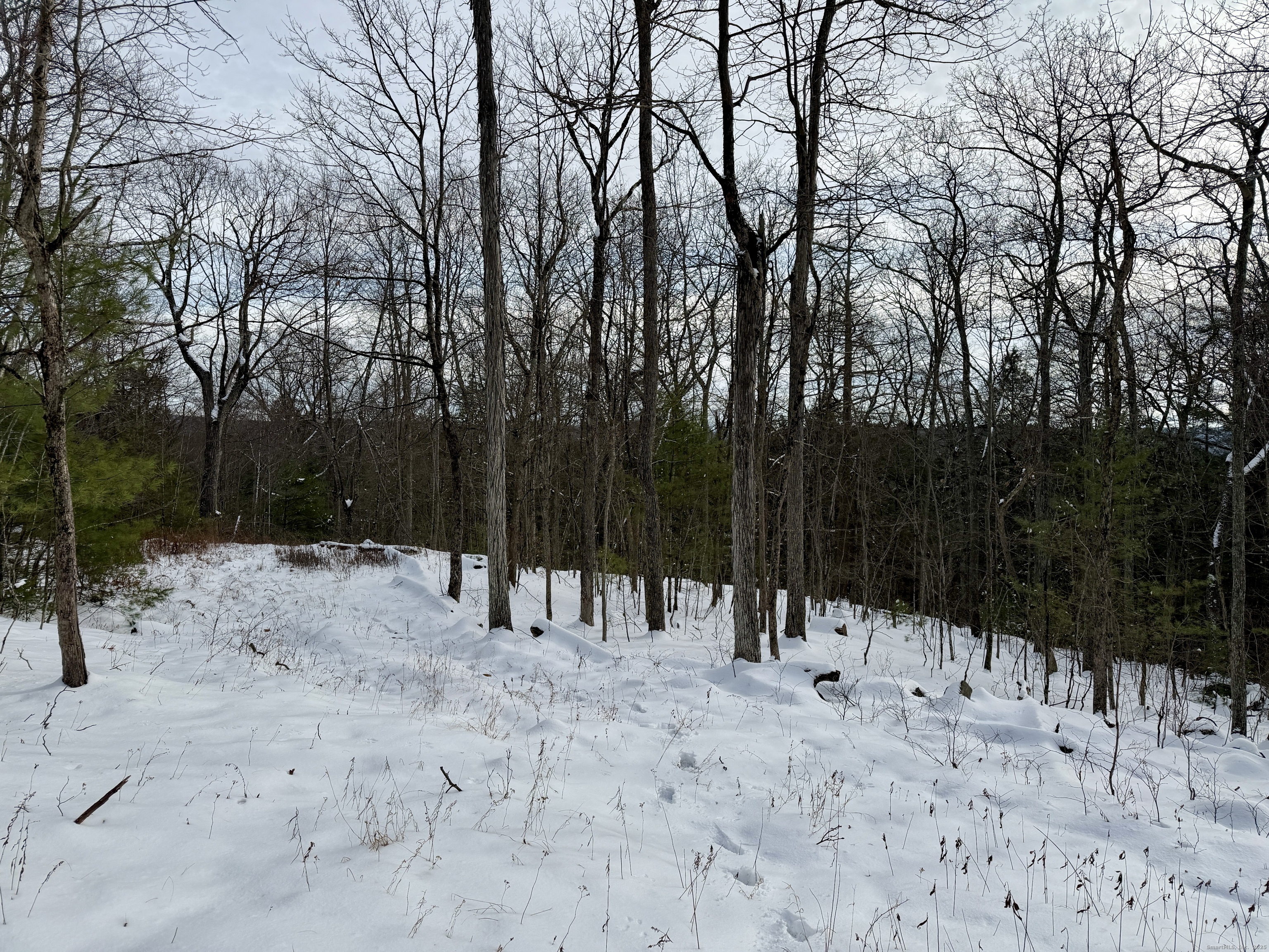 Prock Hill Road Colebrook, CT 06021 - Photo 18 of 23 a view of house with snow on the road