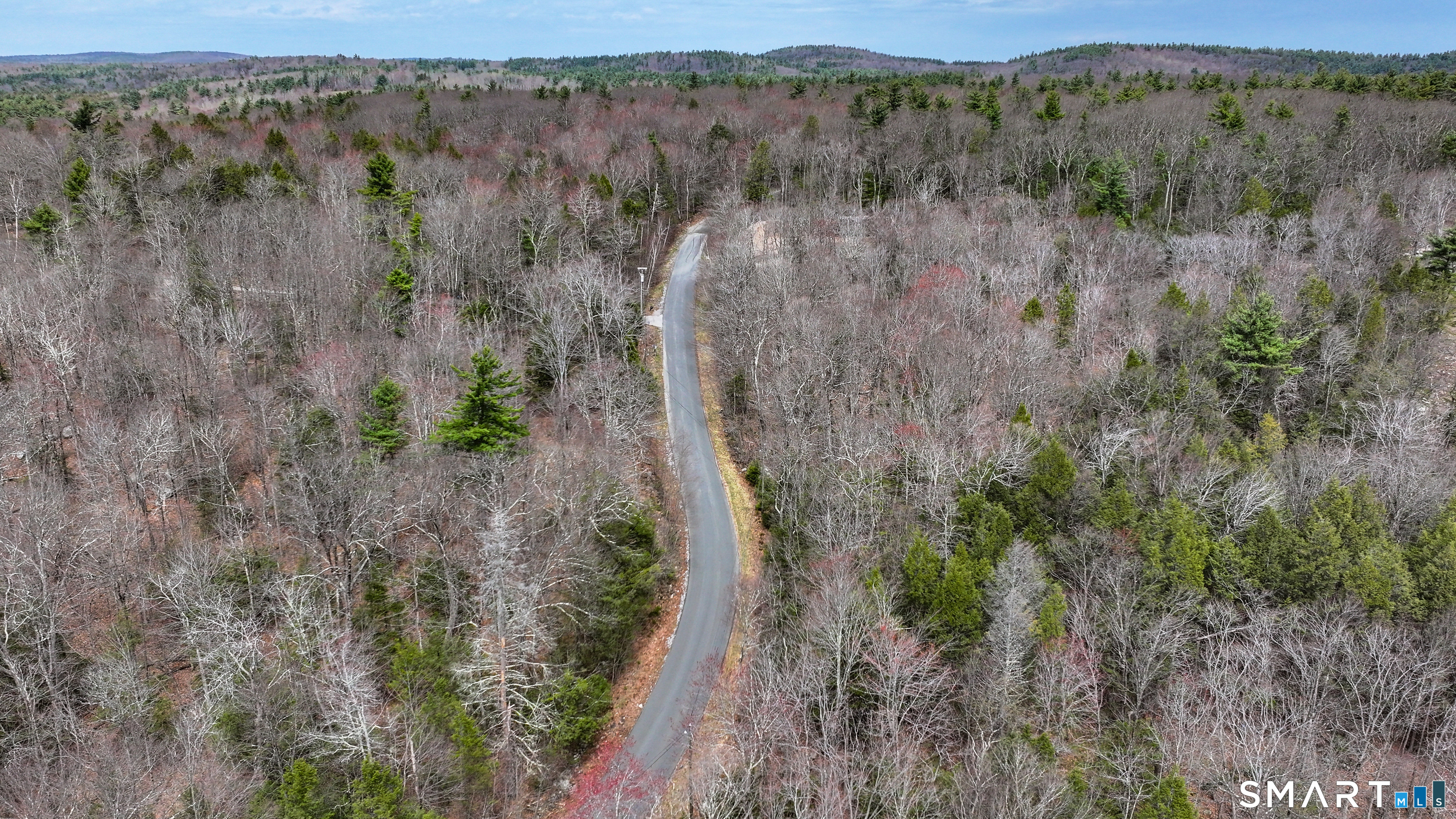Prock Hill Road Colebrook, CT 06021 - Photo 4 of 23 a view of a forest with trees in the background