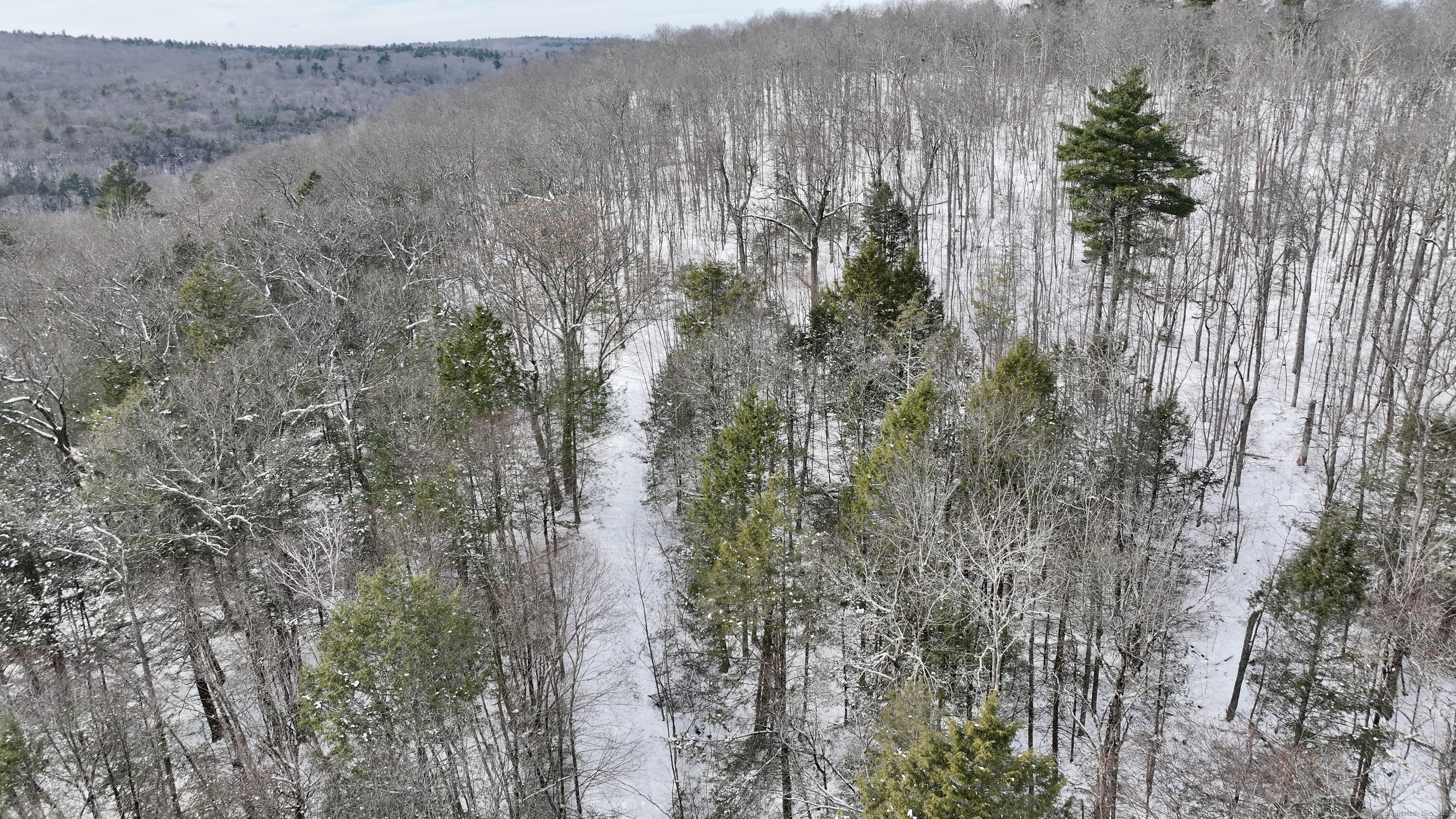 Prock Hill Road Colebrook, CT 06021 - Photo 5 of 23 a view of a yard with trees