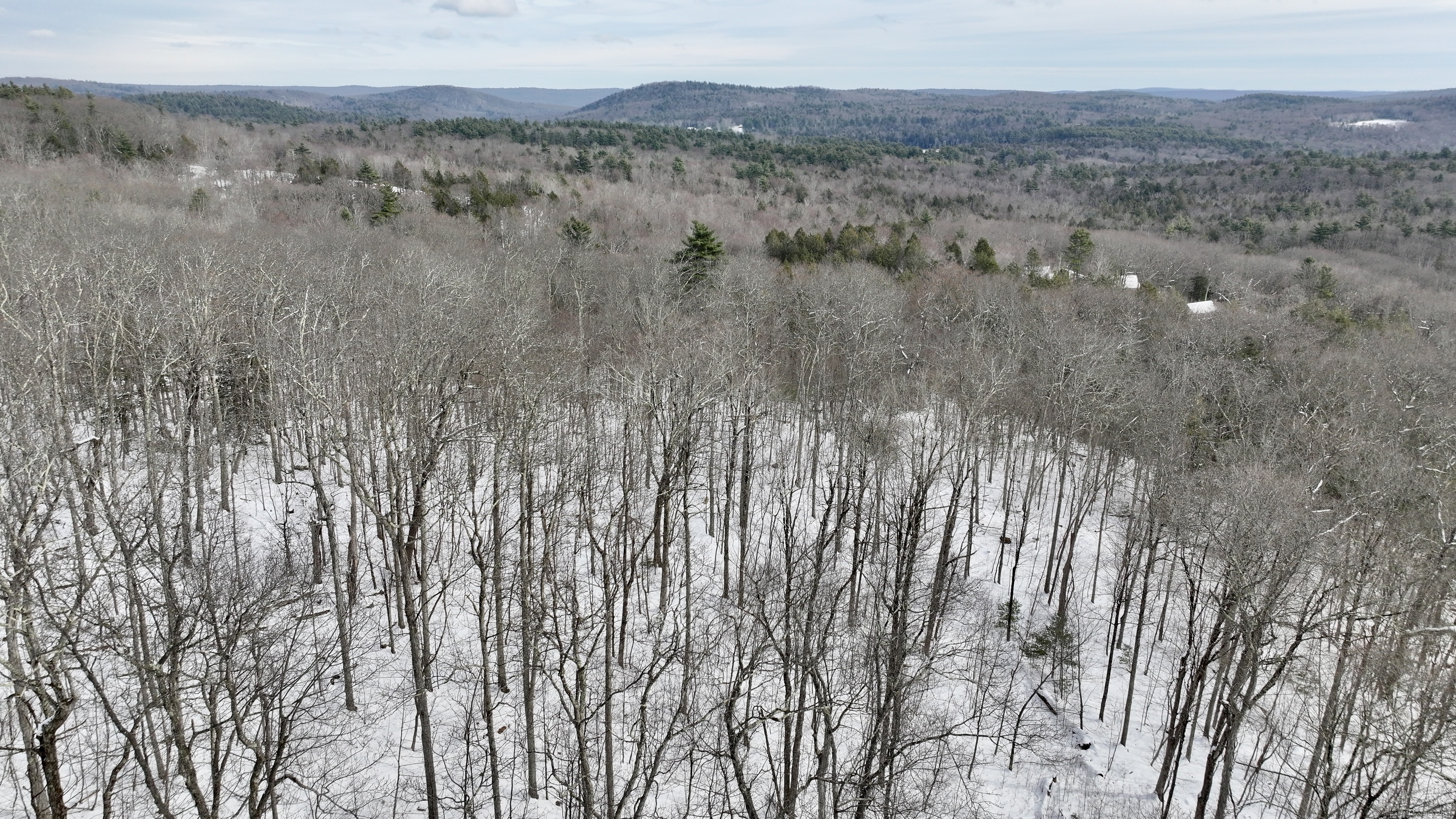 Prock Hill Road Colebrook, CT 06021 - Photo 7 of 12 a view of mountain with trees in background