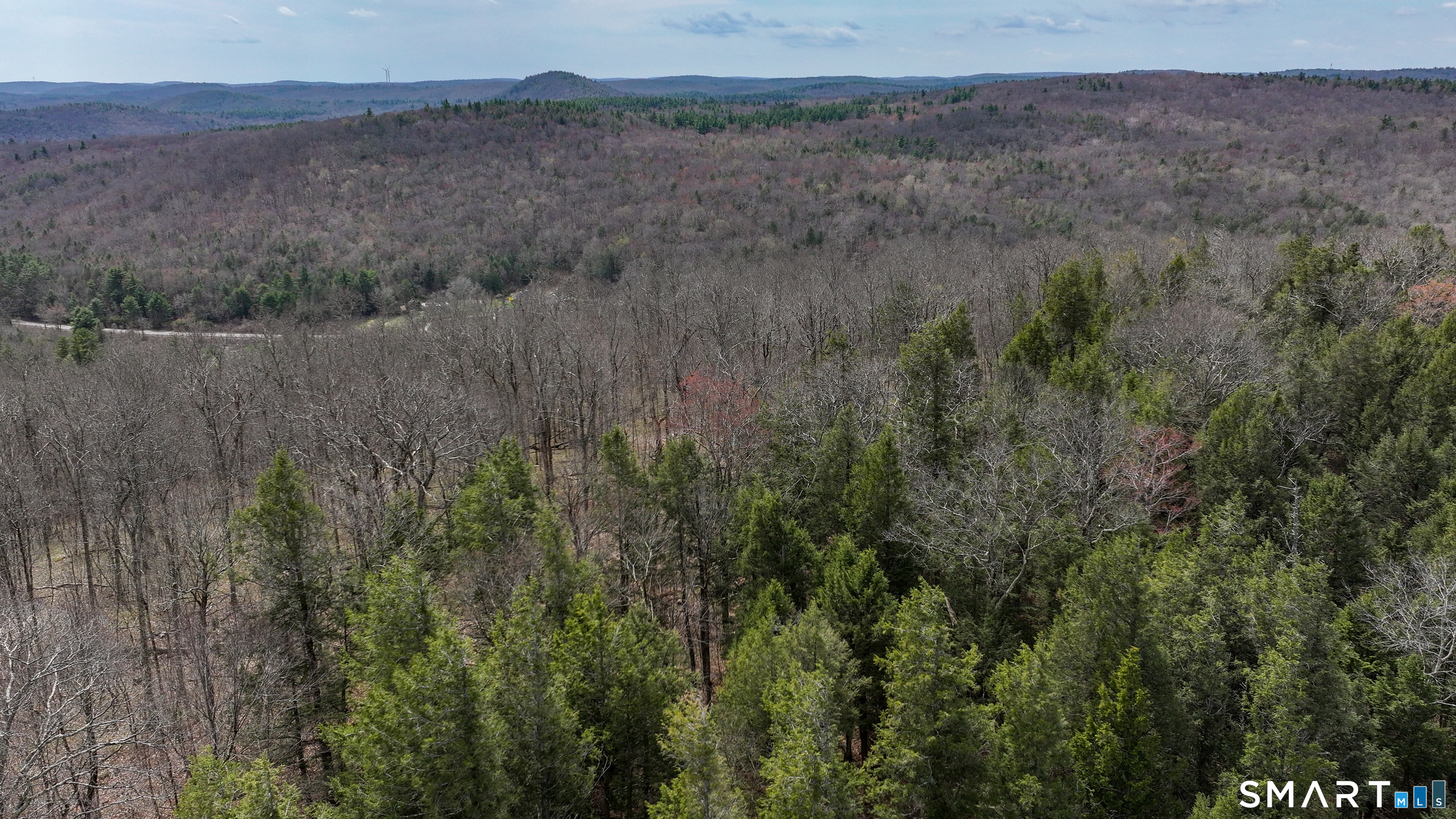 Prock Hill Road Colebrook, CT 06021 - Photo 7 of 23 a view of a lush green forest with a mountain and trees
