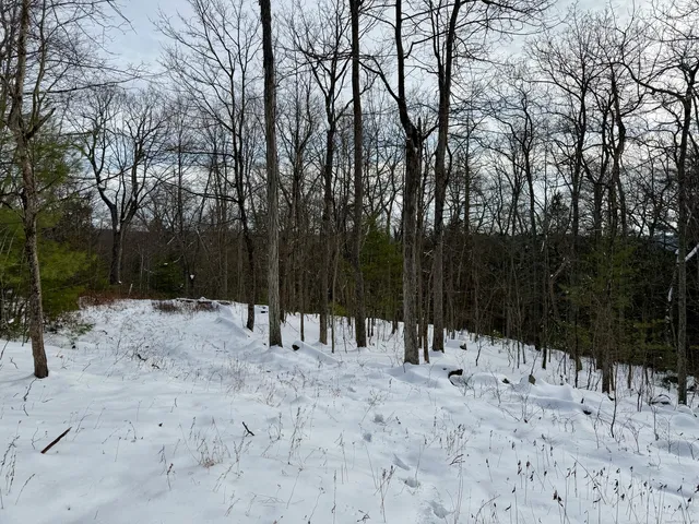 a view of house with snow on the road