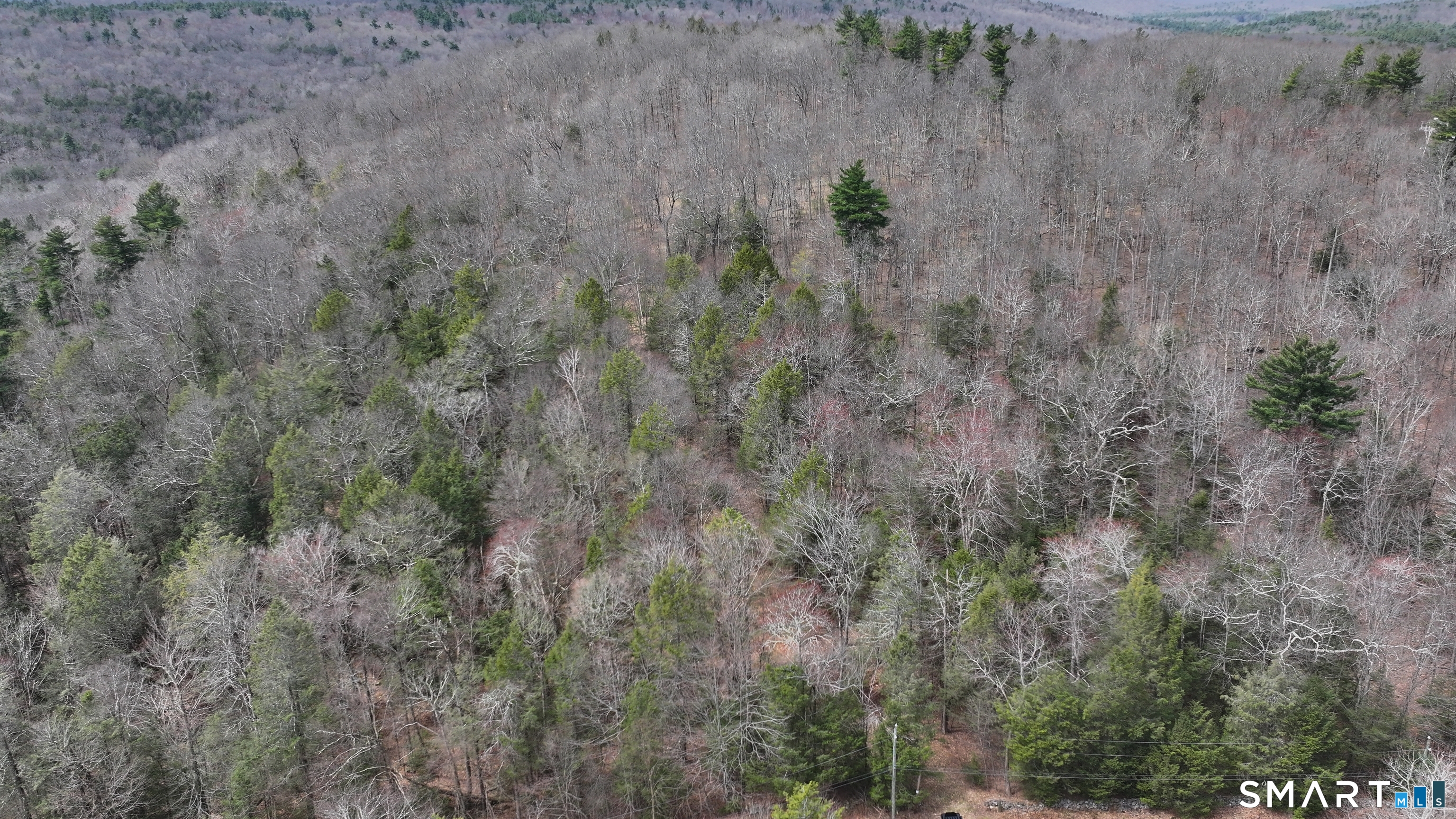 Prock Hill Road Colebrook, CT 06021 - Photo 9 of 23 a view of a forest with a house and a forest